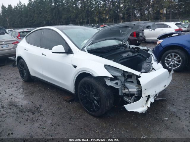 TESLA MODEL Y 2022 7saygaee9nf548843