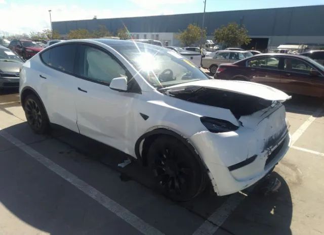 TESLA MODEL Y 2023 7saygaee9pf632826