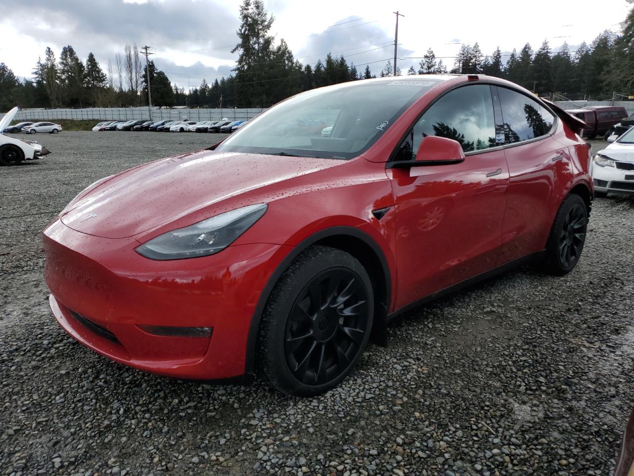 TESLA MODEL Y 2023 7saygaee9pf709811