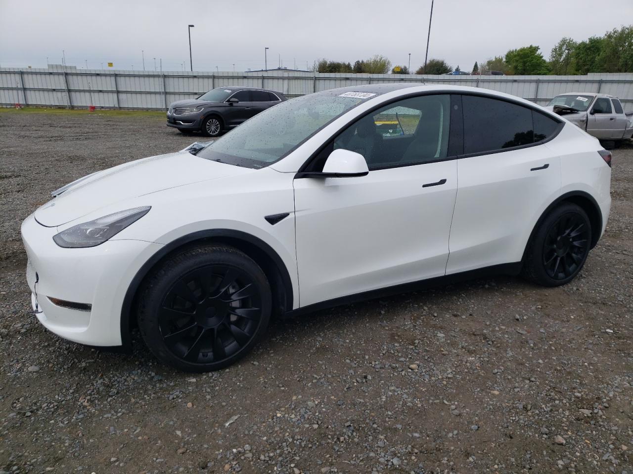 TESLA MODEL Y 2023 7saygaee9pf714345