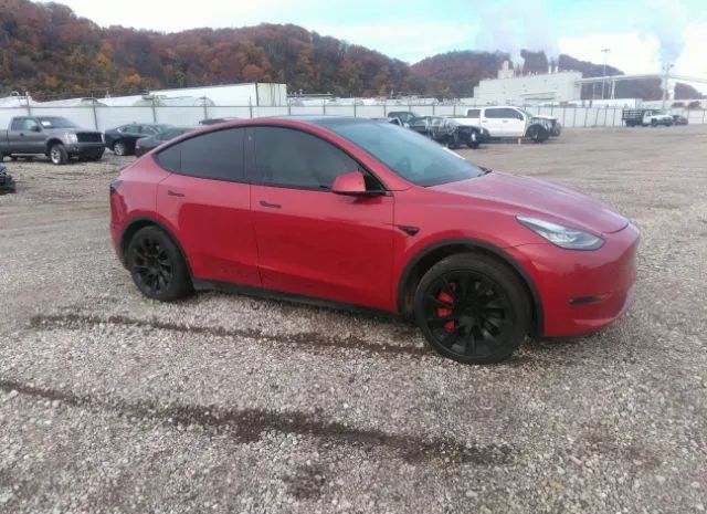 TESLA MODEL Y 2022 7saygaeexnf344049