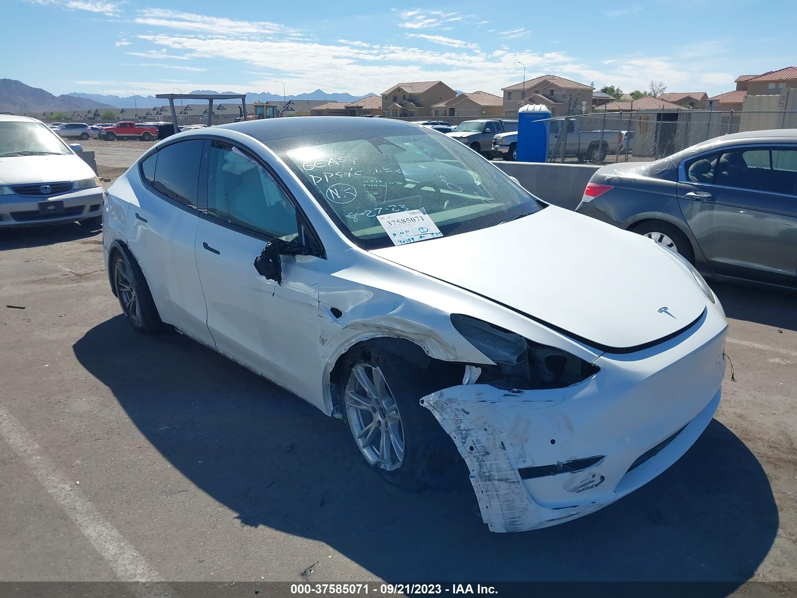 TESLA MODEL Y 2022 7saygaeexnf361773