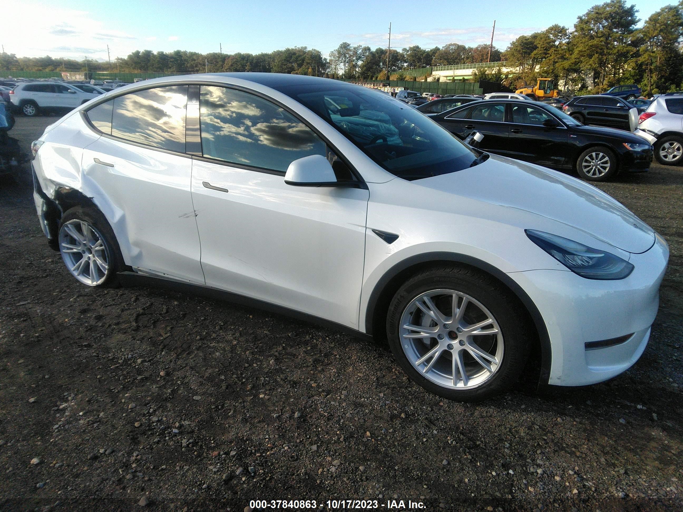 TESLA MODEL Y 2022 7saygaeexnf378962