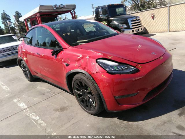 TESLA MODEL Y 2022 7saygaeexnf415069