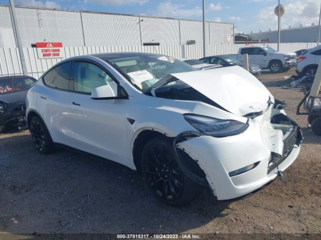 TESLA MODEL Y 2022 7saygaeexnf427898