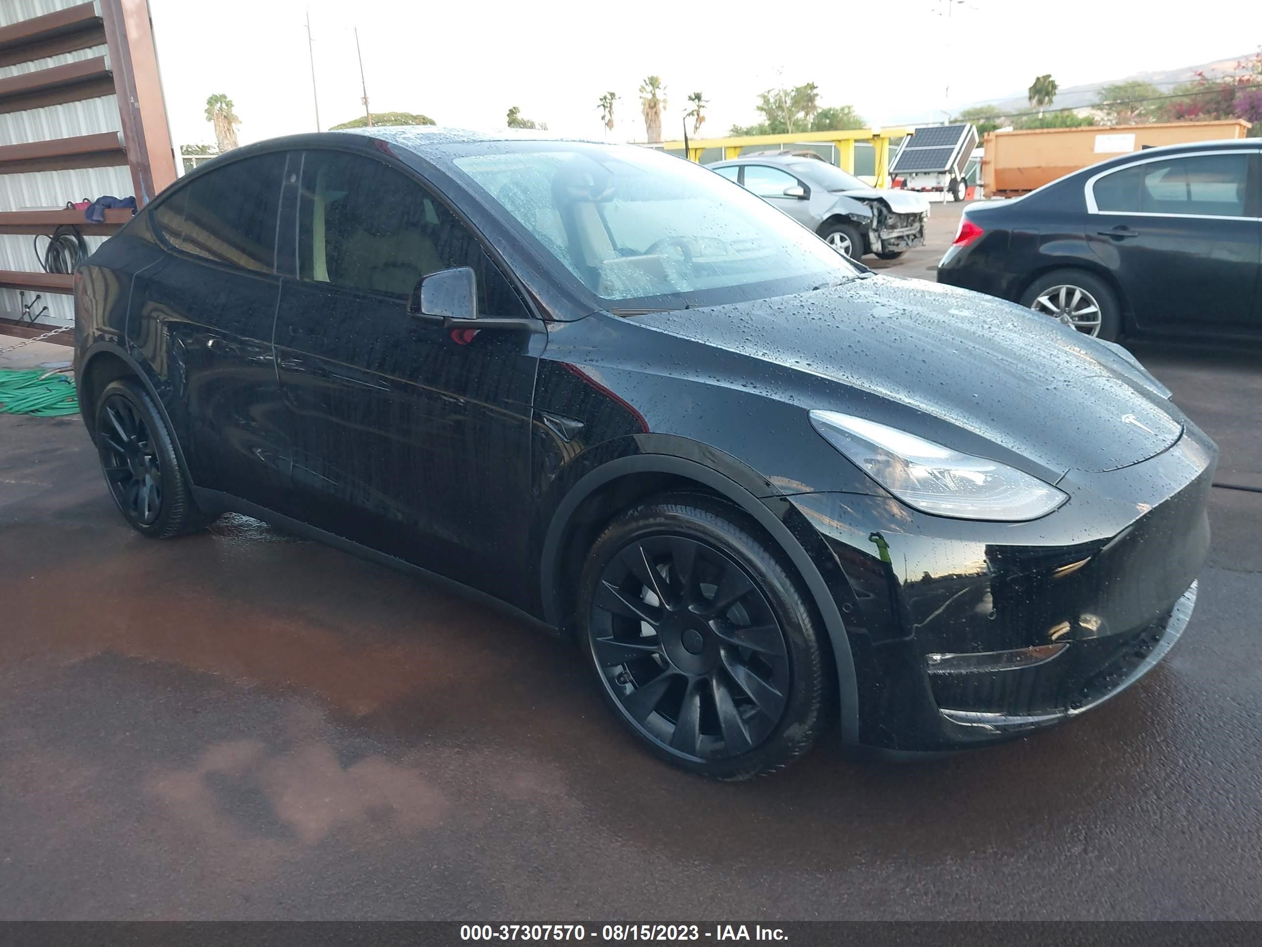 TESLA MODEL Y 2022 7saygaeexnf532487