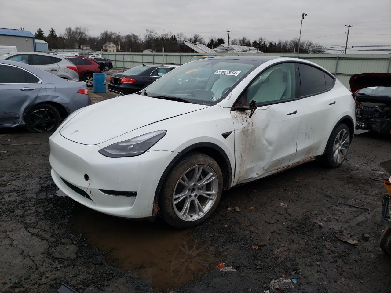 TESLA MODEL Y 2022 7saygaeexnf546115