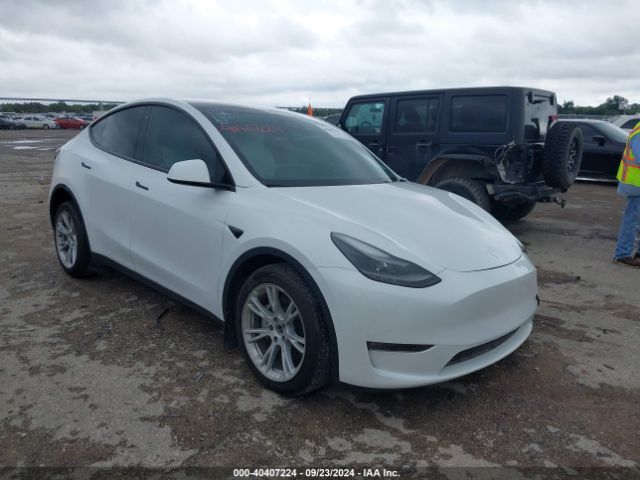 TESLA MODEL Y 2023 7saygaeexpf660828