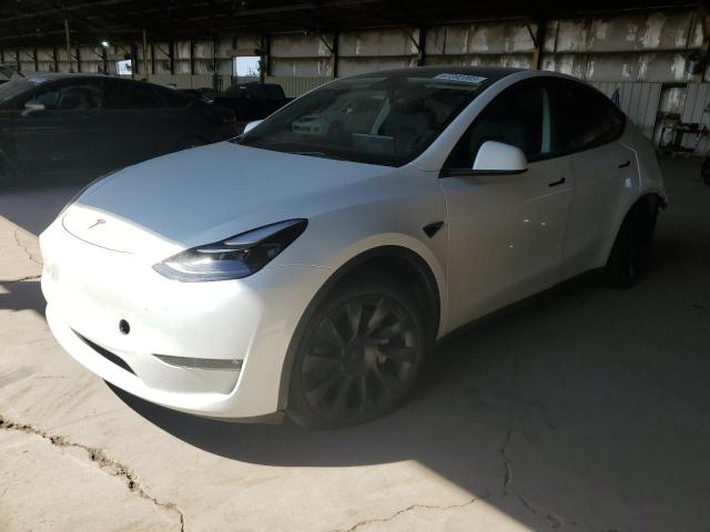 TESLA MODEL Y 2023 7saygaeexpf671165