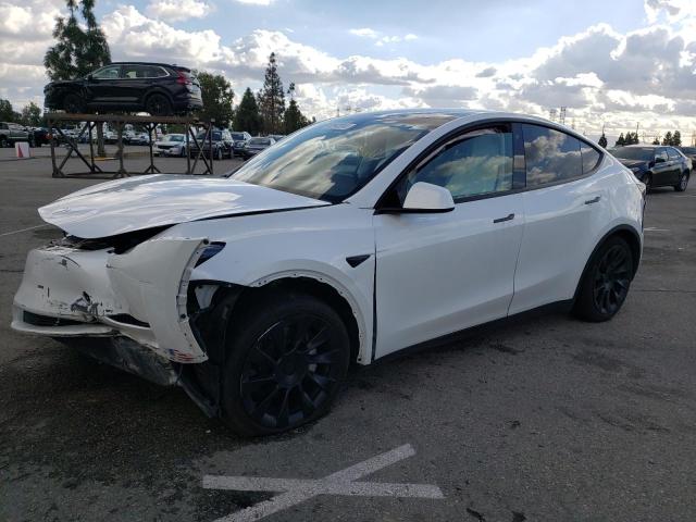 TESLA MODEL Y 2023 7saygaeexpf698382