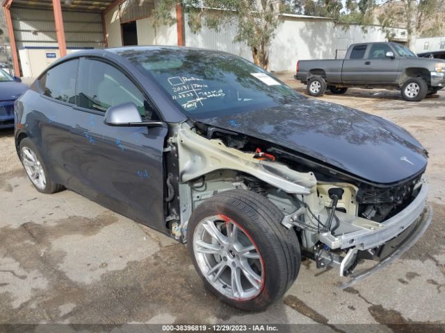 TESLA MODEL Y 2023 7saygaeexpf814244