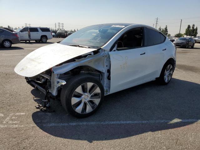 TESLA MODEL Y 2024 7saygded0rf087210