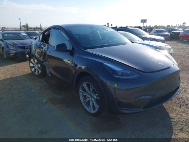 TESLA MODEL Y 2024 7saygded1rf050277