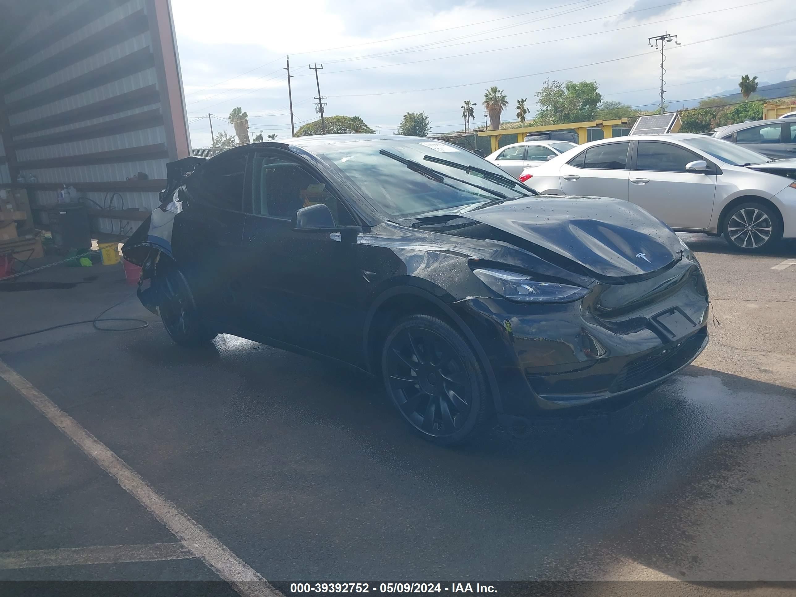 TESLA MODEL Y 2024 7saygded1rf052692