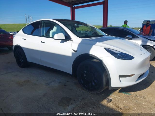 TESLA MODEL Y 2024 7saygded1rf094604