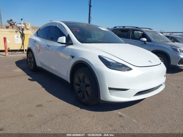 TESLA MODEL Y 2024 7saygded1rf098104