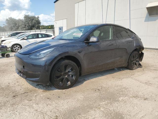 TESLA MODEL Y 2024 7saygded2rf008507