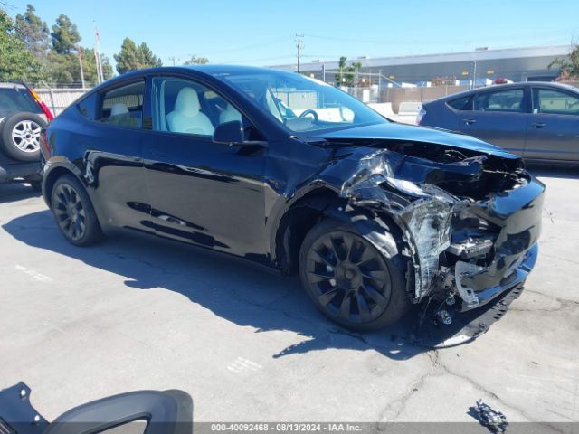 TESLA MODEL Y 2024 7saygded2rf085894