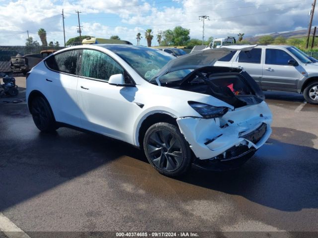 TESLA MODEL Y 2024 7saygded2rf094899