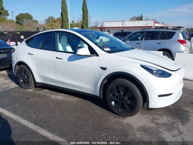 TESLA MODEL Y 2023 7saygded3pf922875