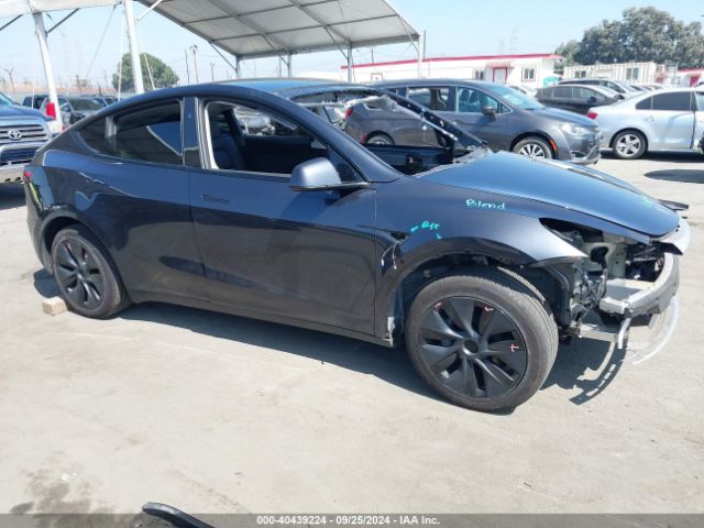 TESLA MODEL Y 2024 7saygded3rf117378