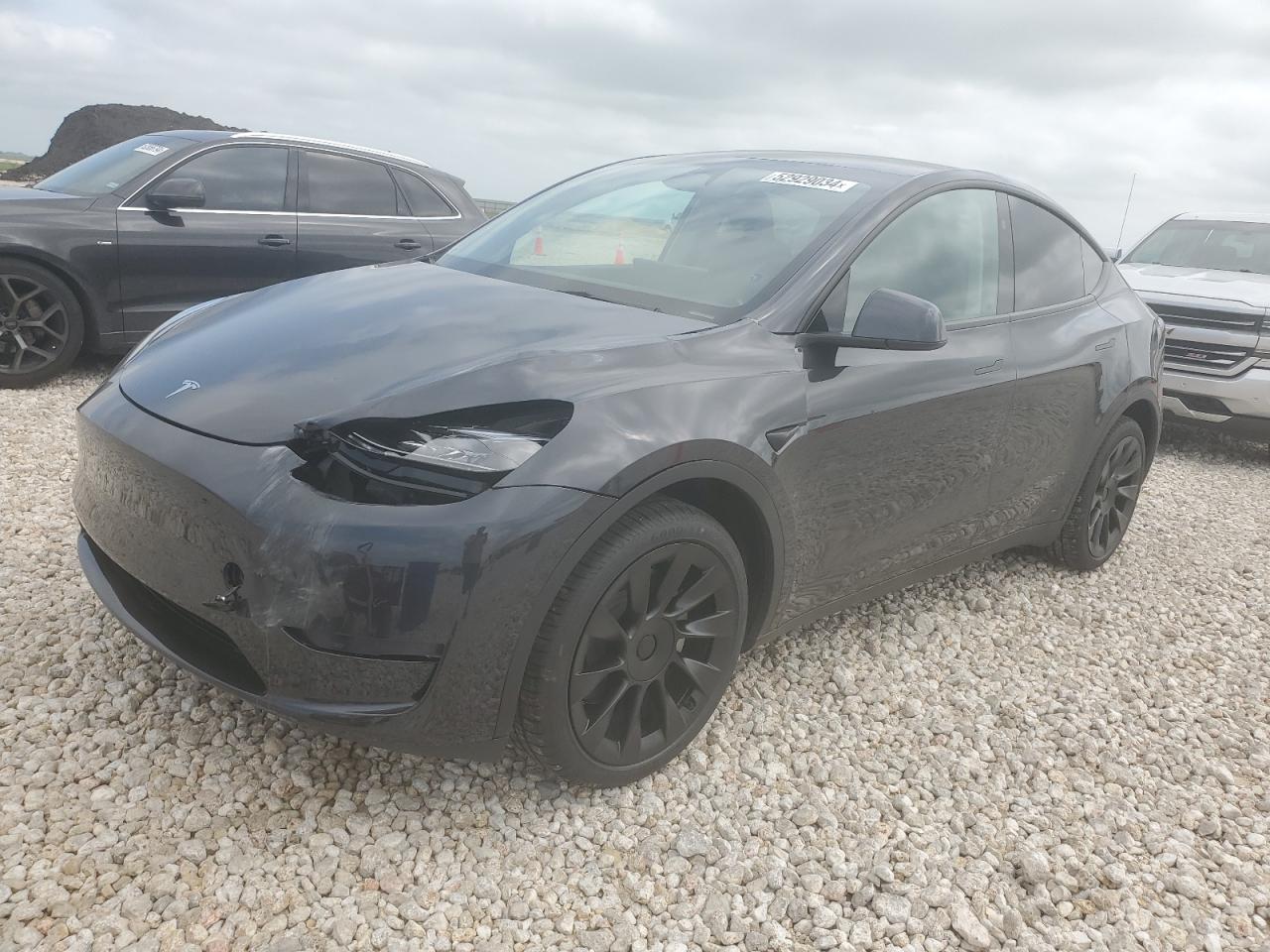 TESLA MODEL Y 2024 7saygded4rf045851