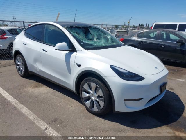 TESLA MODEL Y 2024 7saygded4rf093754