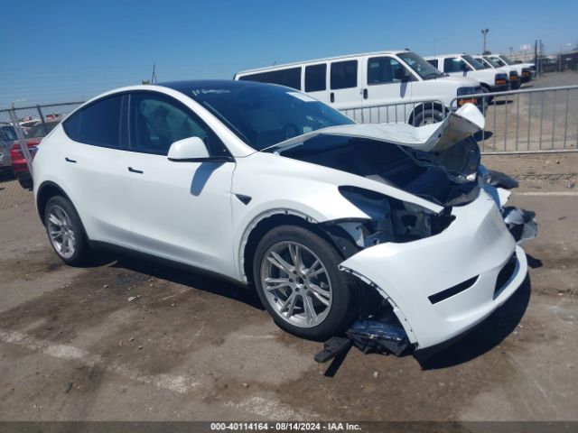 TESLA MODEL Y 2024 7saygded5rf015600