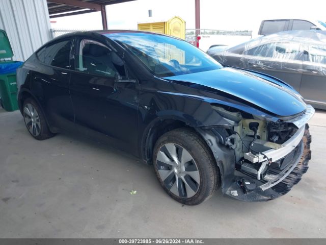 TESLA MODEL Y 2024 7saygded5rf034308