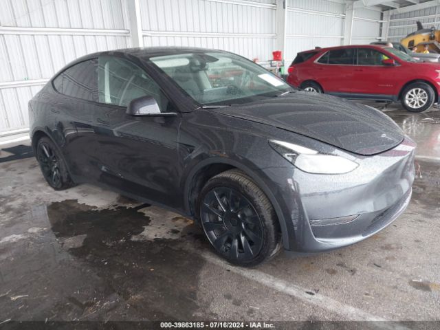 TESLA MODEL Y 2024 7saygded5rf036124