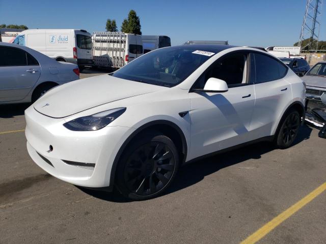 TESLA MODEL Y 2024 7saygded5rf080253