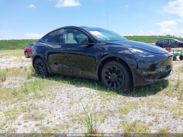 TESLA MODEL Y 2024 7saygded5rf084030