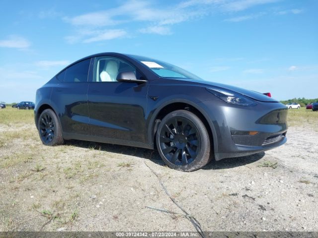 TESLA MODEL Y 2024 7saygded5rf089311