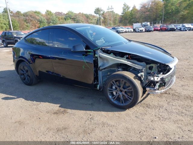 TESLA MODEL Y 2024 7saygded5rf130214