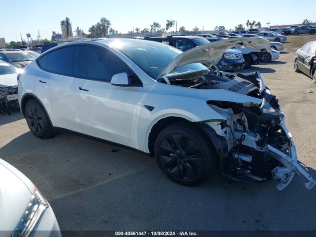 TESLA MODEL Y 2024 7saygded5rf154884