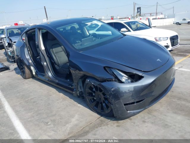 TESLA MODEL Y 2024 7saygded6rf051635