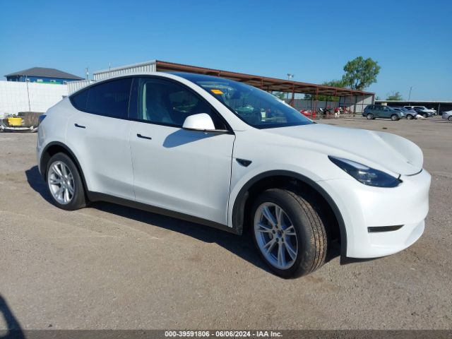 TESLA MODEL Y 2024 7saygded6rf066040