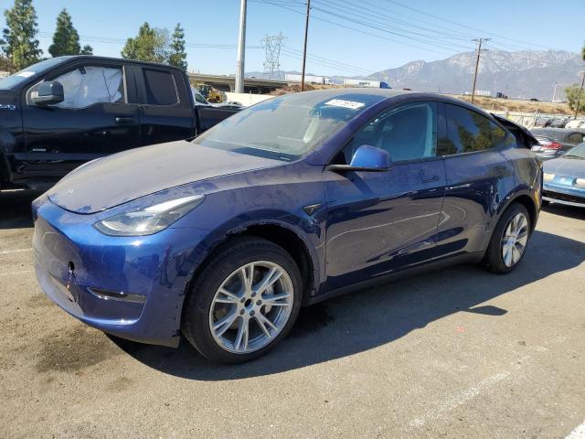 TESLA MODEL Y 2024 7saygded6rf083842