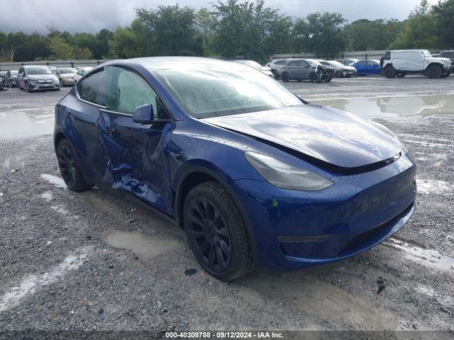 TESLA MODEL Y 2024 7saygded6rf091083