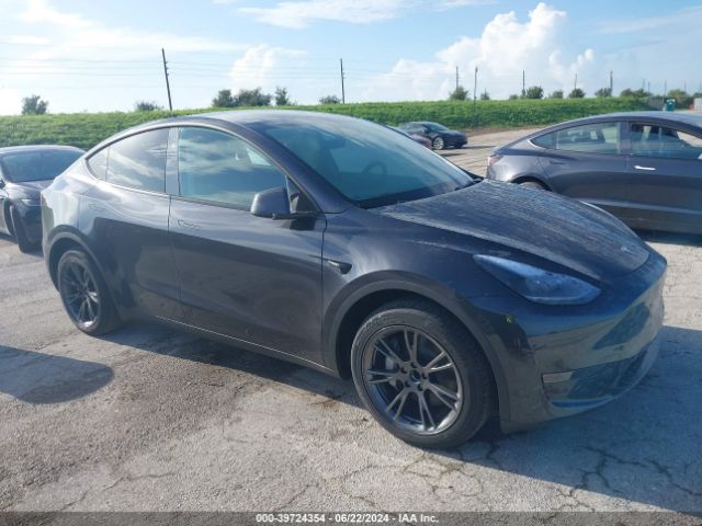 TESLA MODEL Y 2024 7saygded6rf094503