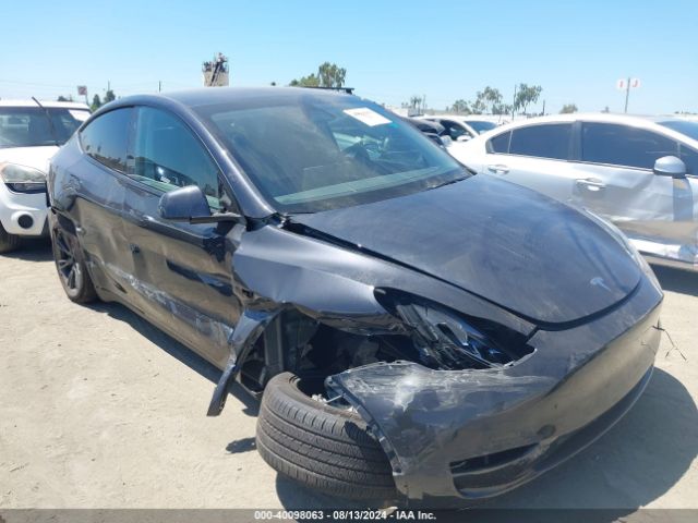 TESLA MODEL Y 2024 7saygded6rf103975