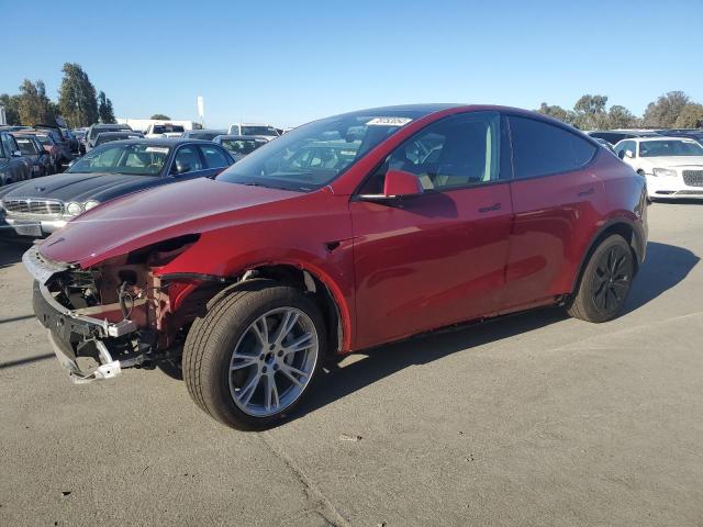 TESLA MODEL Y 2024 7saygded7rf052678