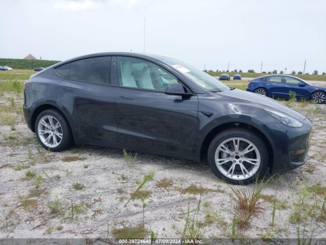 TESLA MODEL Y 2024 7saygded7rf087401