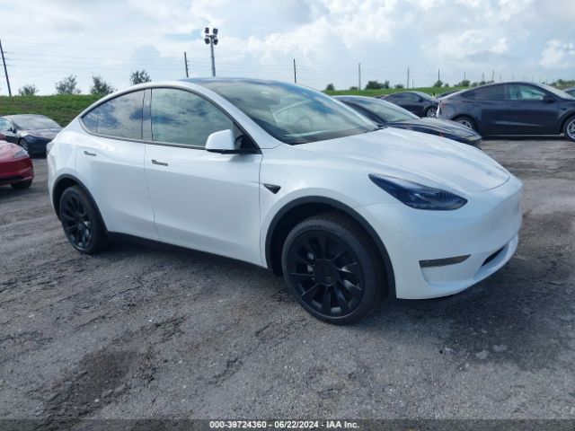 TESLA MODEL Y 2024 7saygded7rf096633