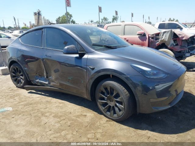 TESLA MODEL Y 2024 7saygded7rf101989