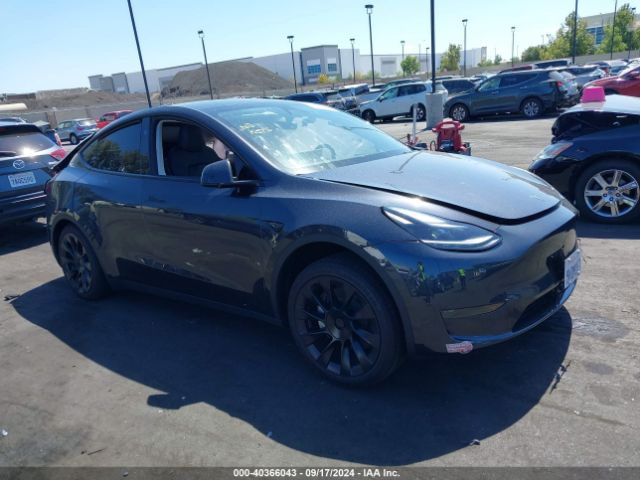 TESLA MODEL Y 2024 7saygded8rf125511