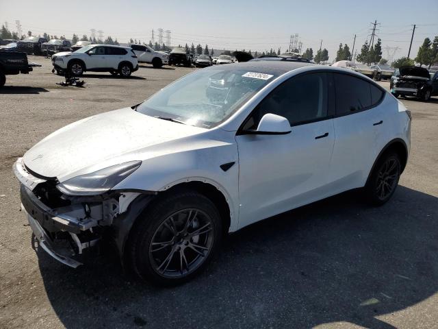 TESLA MODEL Y 2024 7saygded8rf129560