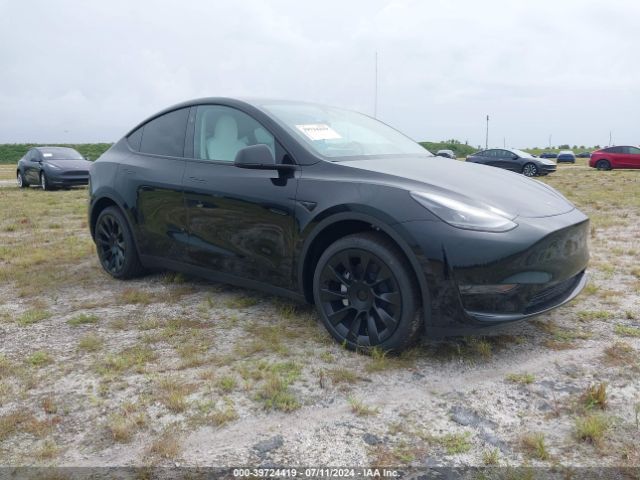 TESLA MODEL Y 2024 7saygded9rf092910