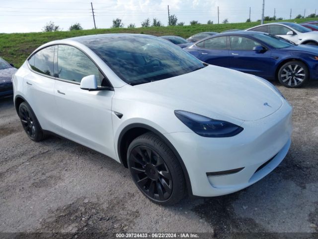 TESLA MODEL Y 2024 7saygded9rf093295