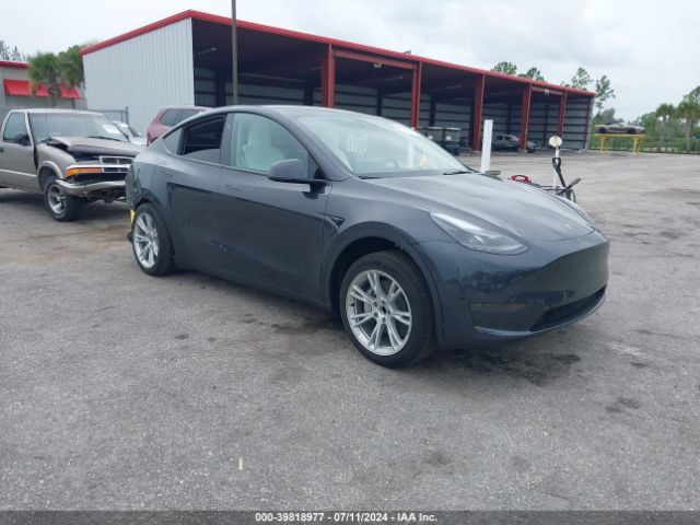 TESLA MODEL Y 2024 7saygded9rf093622